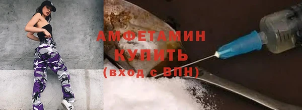 ECSTASY Богданович